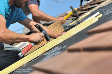 Nettoyage de toiture professionnel : obtenez un toit comme neuf !